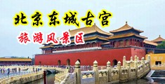 想日骚B看视频中国北京-东城古宫旅游风景区
